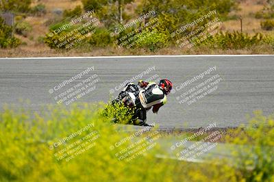 media/May-10-2024-2WTD (Fri) [[c88d7990af]]/Group B/Session 2-The Bowl/